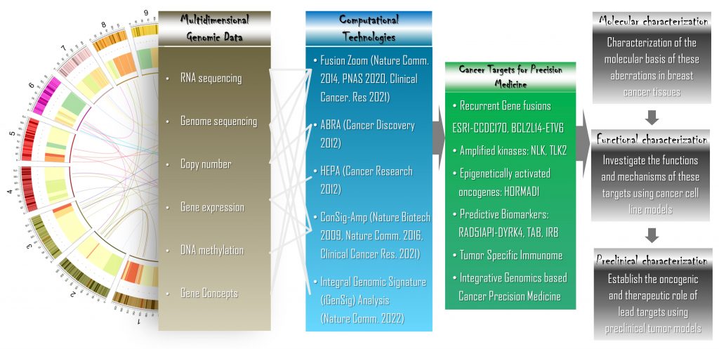 Wang Laboratory – Wang Computational Genomics And Translational Cancer ...